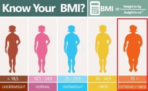 ぼる塾　あんり　体重　BMI　肥満　画像